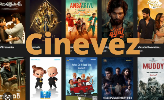 Cinevez: Elevating the Cinematic Experience